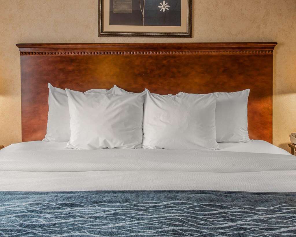 Quality Inn & Suites Coldwater Near I-69 Room photo